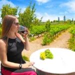 Private napa valley wine tour