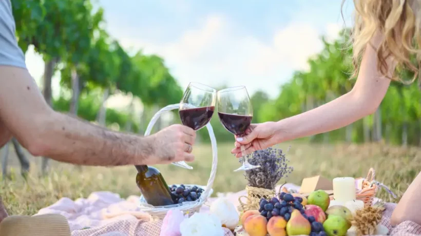How Much Does a Napa Party Bus Rental Cost for Wine Tours?